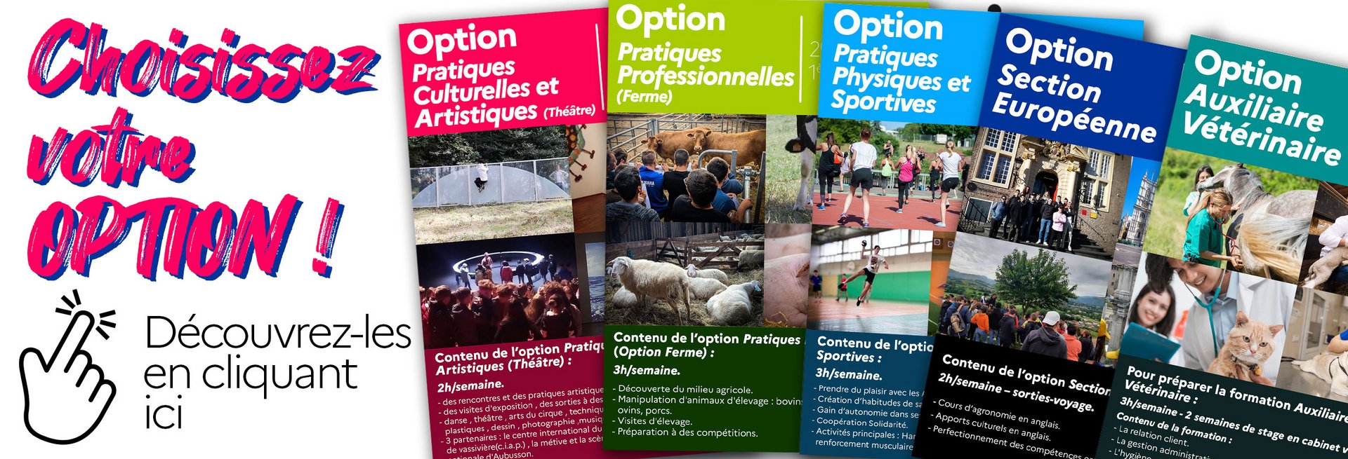 Au Lycée Agricole d'Ahun : à vous de choisir votre OPTION ! Auxiliaire Vétérinaire, Pratiques Professionnelles (Ferme), Pratiques Physiques et Sportives, Section Européenne,  Pratiques Culturelles et Artistiques (Théâtre)